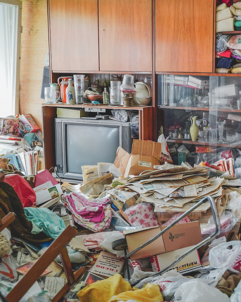 Wudima-Startseite-Service-Räumung